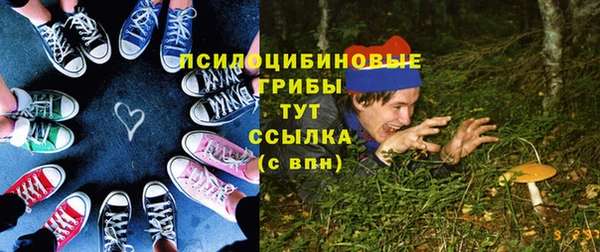 PSILOCYBIN Бородино