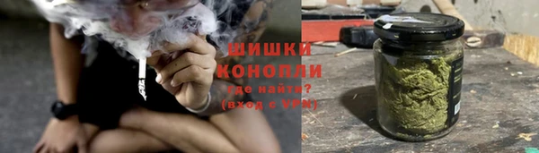 таблы Богородицк
