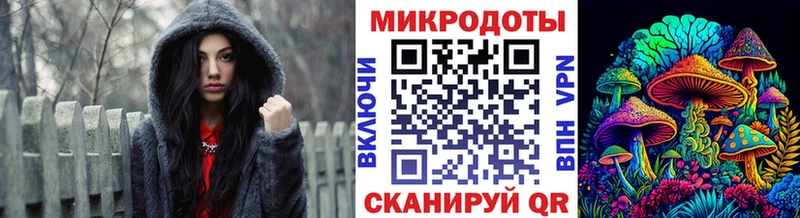 блэк спрут как войти  Инта  Галлюциногенные грибы мицелий 